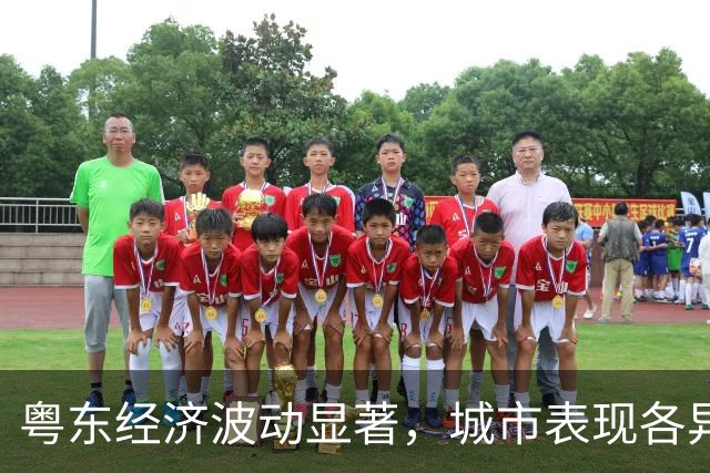 粤东经济波动显著，城市表现各异